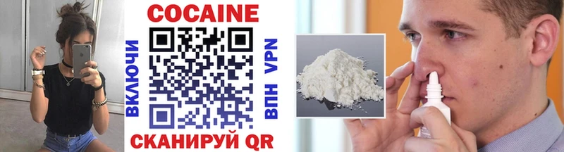 Cocaine FishScale  Купить закладки  Астрахань 