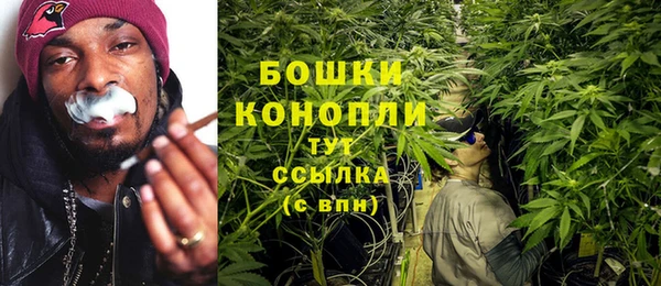 твердый Заводоуковск