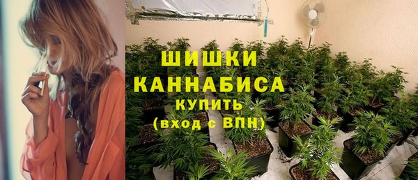 первитин Инсар